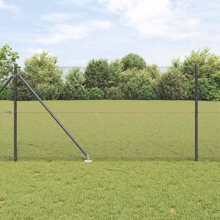 Recinzione in rete saldata con punte 100 x 1 m (L x H)