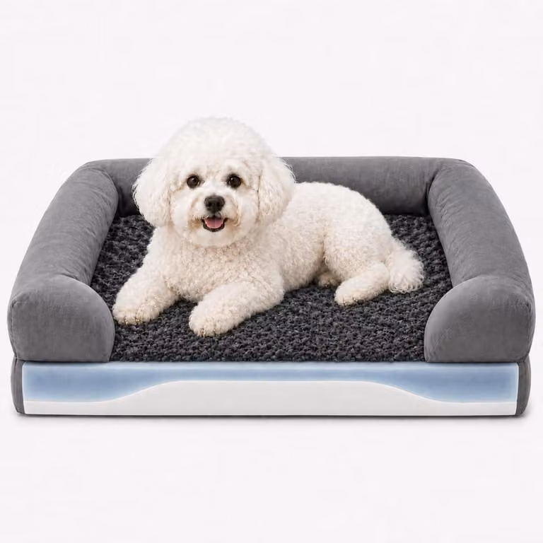 Cuccia ortopedica per cani, dimensioni 65x53x16 cm, con imbottitura in memory foam, impermeabile, con rivestimento removibile
