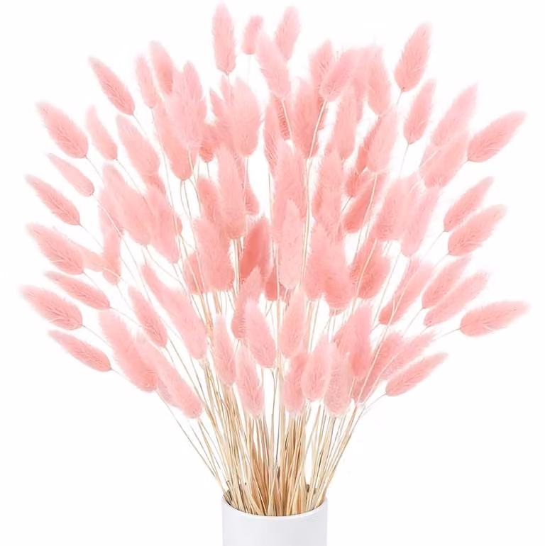 120 pezzi di pampas rosa essiccato, decorazione, altezza 30-43 cm