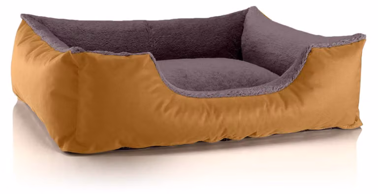 Letto per cani BedDog TEDDY: divanetto lavabile con bordi e cuscino, GOLDEN-BROWN (oro/marrone), (L) ca. 80x65x18 cm