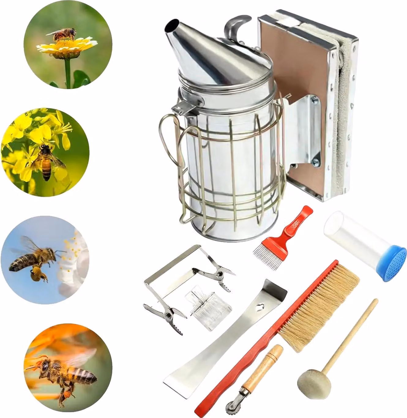 Set di attrezzi per l'apicoltura, 8 accessori essenziali, materiali resistenti, 8 articoli
