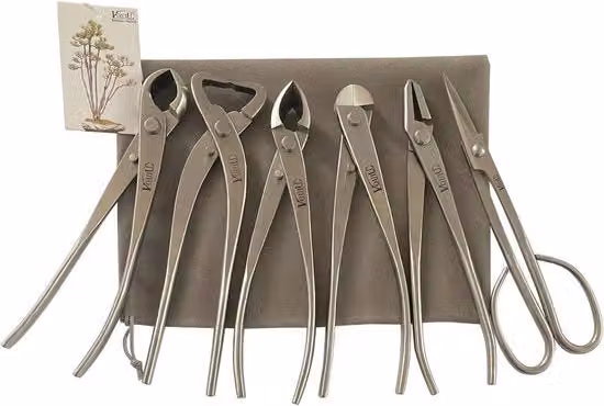 Set di strumenti per bonsai 6 pezzi - taglierino per foglie, spaccatrame, taglierino concavo, taglierino filo, Jin Tang, forbice per bonsai