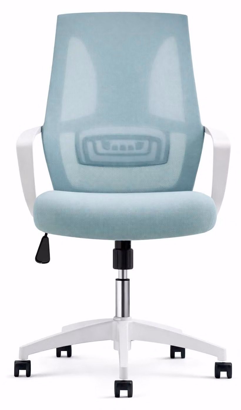 Sedia da ufficio ergonomica in blu pastello con schienale regolabile