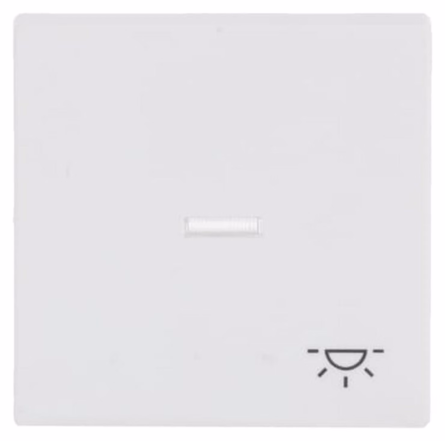 Busch-Jaeger Bilanciere mt con simbolo luminoso 1789 LI-884