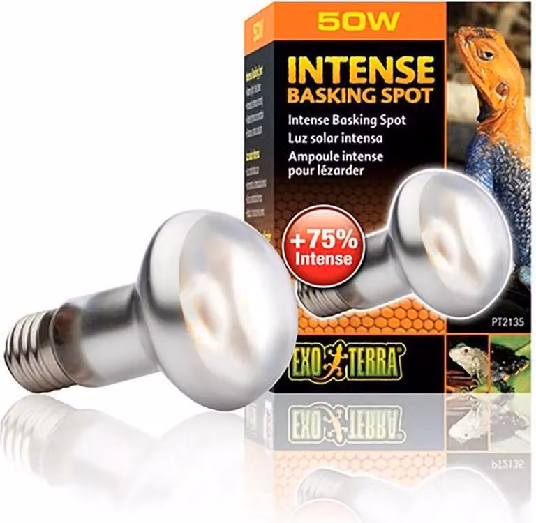 Lampadina EXO TERRA Intense Basking Spot 150 W