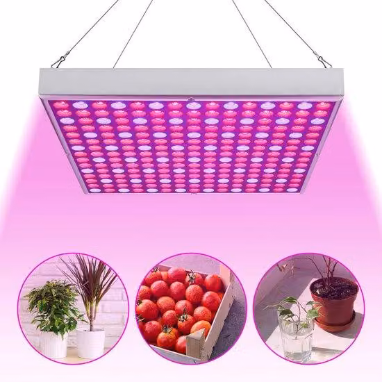 Lampada LED per coltivazione - 15 W - 305 x 305 cm - Spettro completo - 225 LED