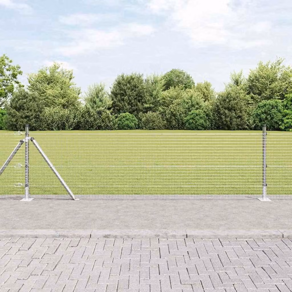 Maison Exclusive - Palo della recinzione Argento 100 x 0,5 m (rete 25 x 25 mm)