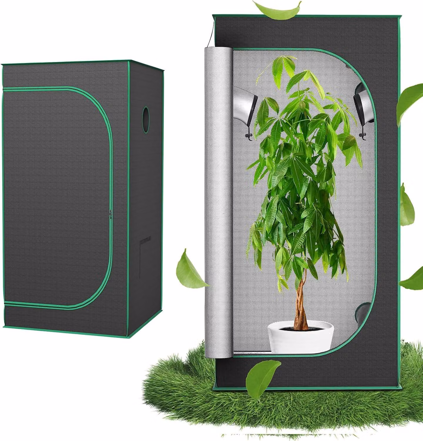 QEENTOE, tenda di coltivazione 80x80x160 cm, ideale per la crescita indoor di verdure ed erbe aromatiche, serra per la coltivazione di piante