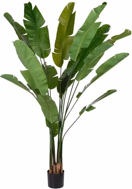 Pianta artificiale Sterlitzia decorativa Wanderlust Deco verde con 18 foglie, L/P/H: 95 x 95 x 240 cm