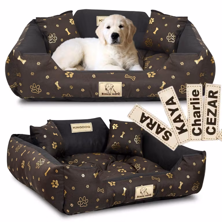 Letto per cani KINGDOG Kennel 75x65 cm personalizzato impermeabile golden bones