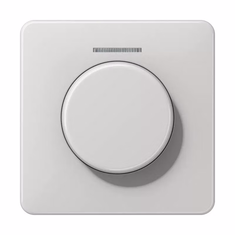 Jung CD1540KO5LG Copertura con guida luce, grigio chiaro