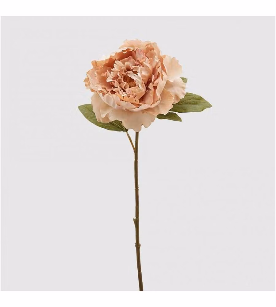 Peonia Epoque ramo da 51 cm color Pesca