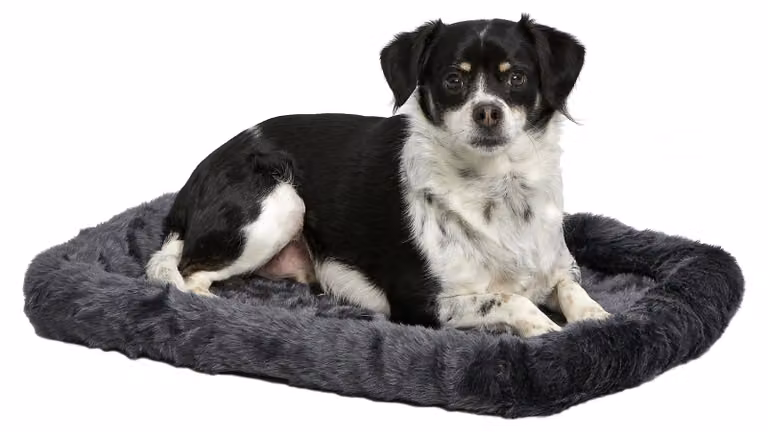 Cuccia per cani, imbottitura in ecopelliccia grigia, estremamente morbida e lavabile in lavatrice, adatta a