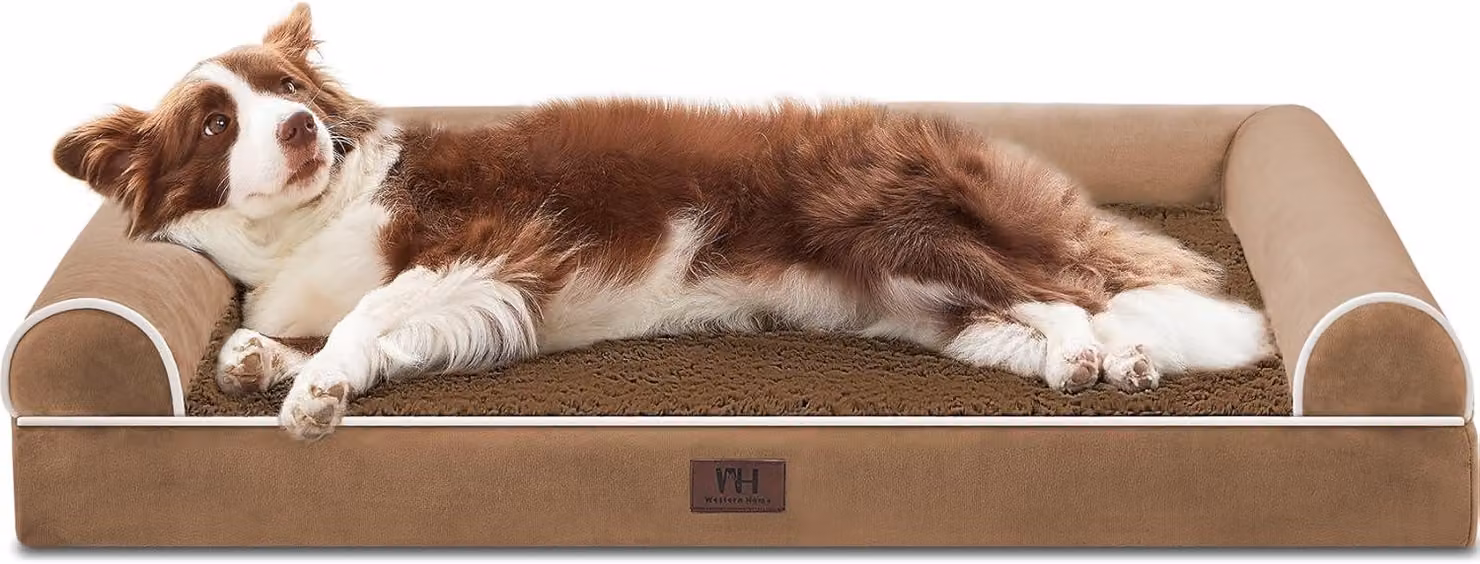 Cuccia ortopedica per cani, lavabile, di dimensioni extra large (91 x 68 x 16,5 cm), con bordo a forma di U, ideale per cani