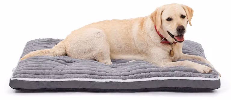 Omgoods - Cuccia grande per cani: Tappetino per cani lavabile, realizzato in morbido tessuto di peluche, dimensioni 112 x 80 x 7 cm