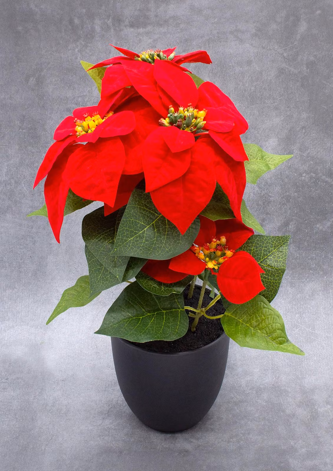 Stella di Natale artificiale in vaso nero - 40 cm - Fiori artificiali di poinsettia, riproduzione fedele del fiore naturale