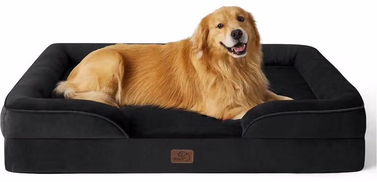 Cuccia ortopedica per cani, dimensioni 122x89 cm, con imbottitura in schiuma a forma di uovo, ideale per cani di grossa taglia, lavabile, antiscivolo, colore nero