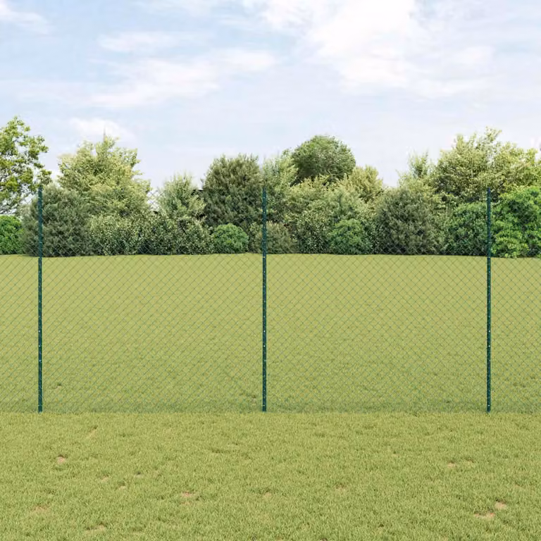 Maison Exclusive - Recinzione con Posto Verde 1,6 x 10 m Acciaio e PVC