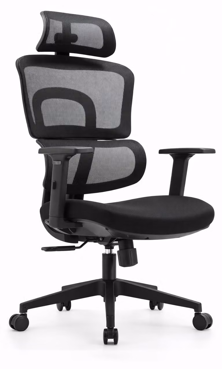 Sedia da ufficio ergonomica con poggiatesta e braccioli regolabili