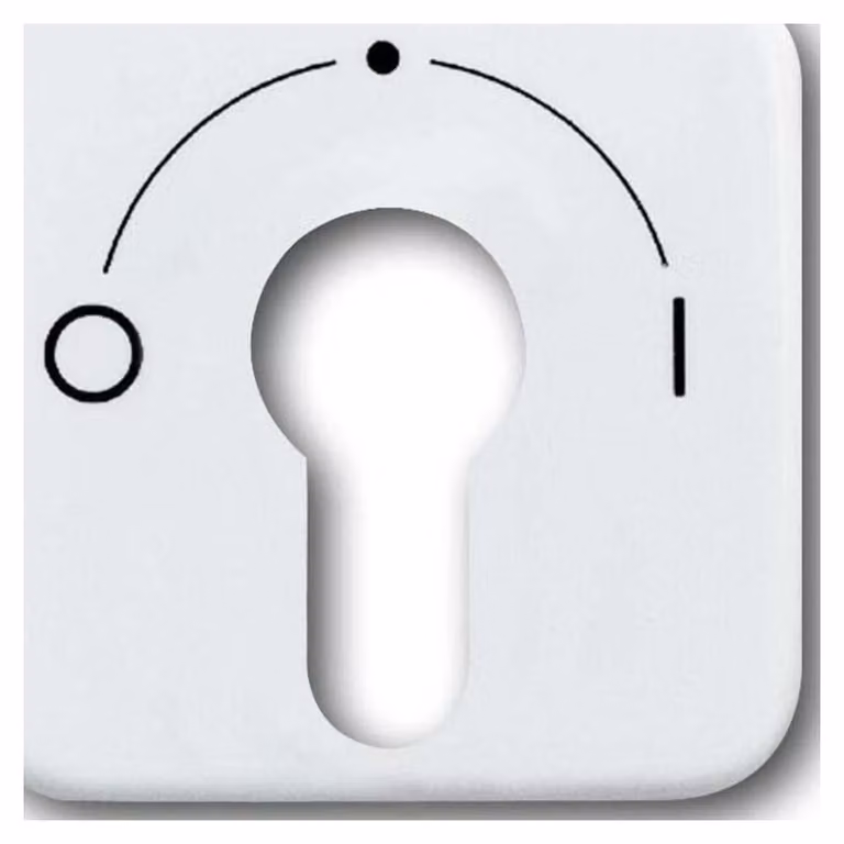 Busch-Jaeger Piastra centrale per interruttore a chiave 2557 SLPZ-214-101