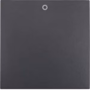 Berker 16221606 Bilanciere con impronta "0" antracite, opaco Berker B.3/B.7