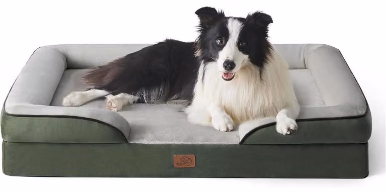 Cuccia ortopedica per cani, dimensioni 89x63 cm, imbottitura in schiuma a forma di uovo, lavabile, antiscivolo, color verde pino
