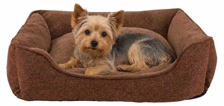 divano per cani lionto, letto moderno per cani con fondo antiscivolo, sfoderabile e interno in peluche, 75x60 cm, marrone