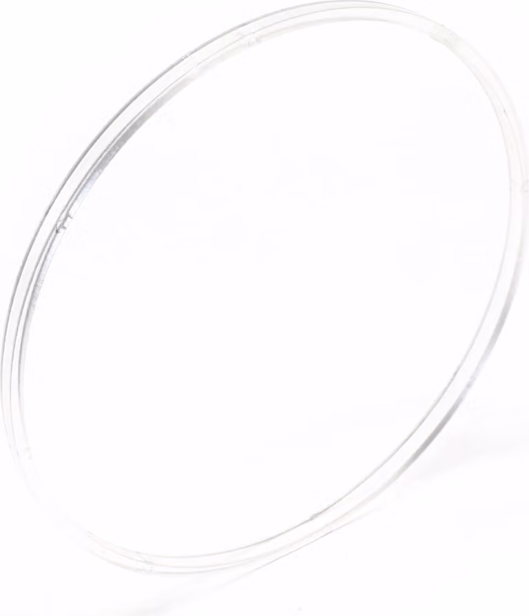 Ricambio SunSun per la tenuta del filtro della pompa della piscina, potente sistema di filtraggio della piscina, pompa filtro ad alta portata, robusta pompa della piscina