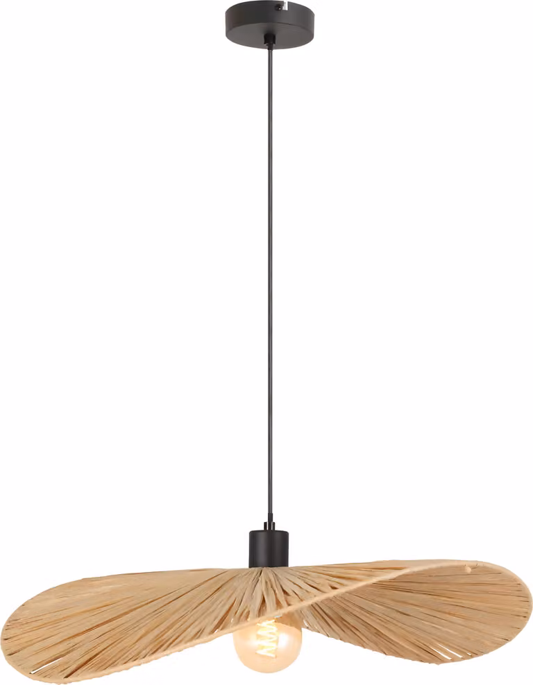 Lámpara TOOLIGHT APP1826-1CP Black Brown0