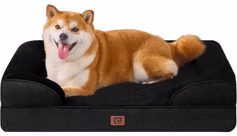 Cuccia ortopedica per cani, con memory foam, dimensioni 89x56 cm, lavabile, impermeabile, antiscivolo, con bordo rialzato, colore nero