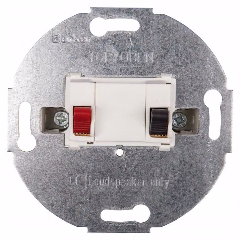 Cassa acustica Berker pws 457209
