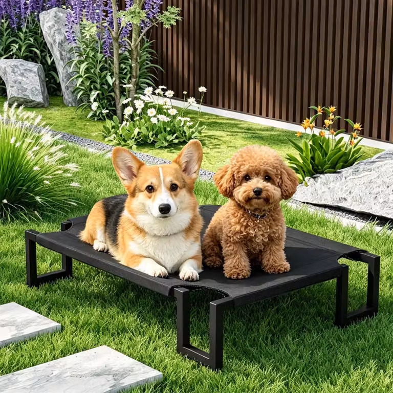 Solidchoice - Cuccia rialzata per cani di taglia grande