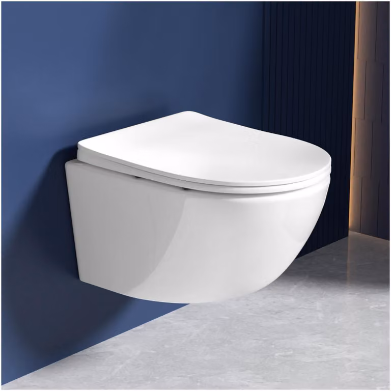 WC sospeso Rainsworth senza bordo - sciacquone potente, vaso con sedile incluso con funzione soft-close, WC dal design compatto lungo 48,5 cm, WC a scarico singolo