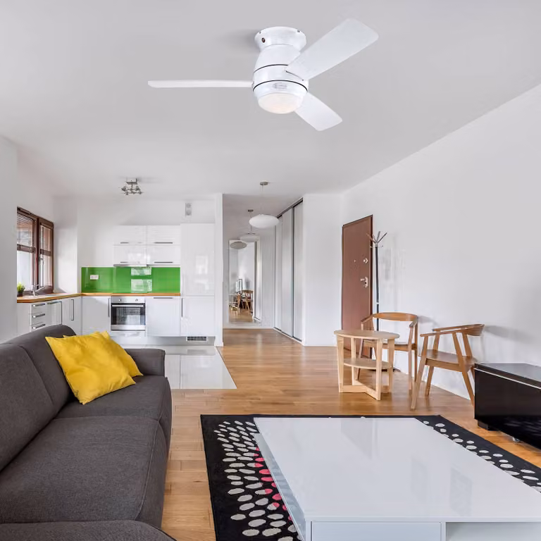 Westinghouse Halley Pala ventilatore bianco/acero, Bianco / Opale, Soggiorno / Sala da pranzo, Legno, Moderno