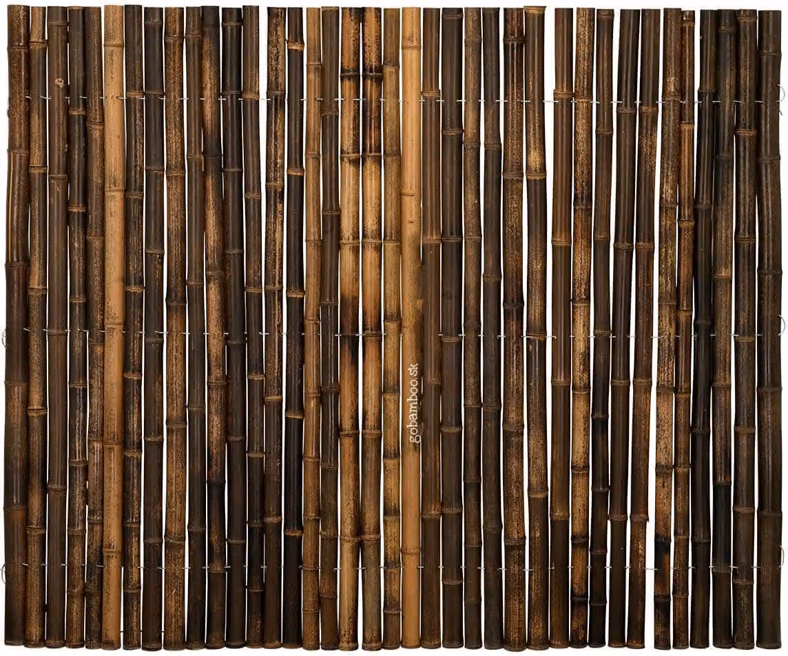 Rotolo di bambù Nigra semicircolare marrone scuro 180 x 150 cm (recinto di bambù)