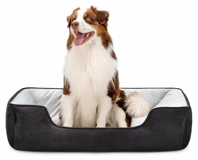 cuccia per cani lionto - cesto reversibile 2 in 1, morbidamente imbottito e di facile manutenzione, con ingresso basso, 110x80 cm, nero/grigio