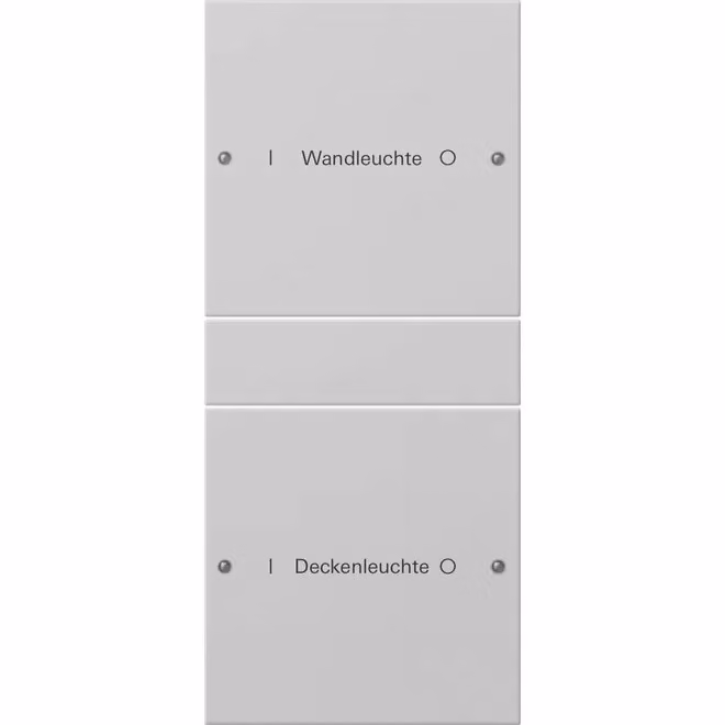 Set di interruttori a bilanciere Gira 2f (1+1) con scritta, sistema 55, grigio (laccato) 2202015