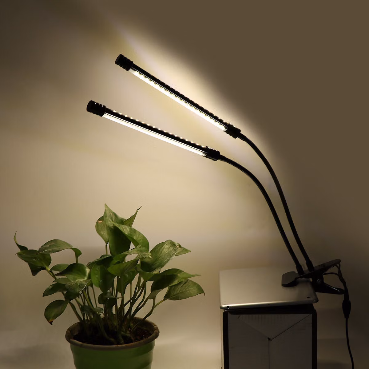 LED Grow Light Lampada per piante con clip per piante da interno - 2 LED