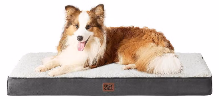 Cuccia ortopedica per cani, taglia XL, 104x68 cm, lavabile, color beige