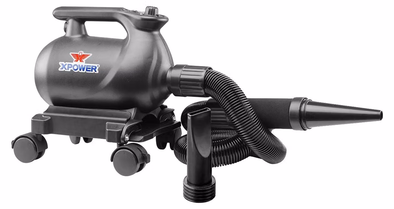 Asciugacapelli, potente flusso d'aria, impostazioni di temperatura regolabili, modello A-12, colore nero, conforme agli standard UE
