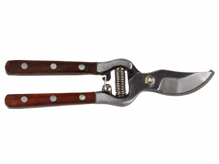 Forbici di legno 200 mm 15886