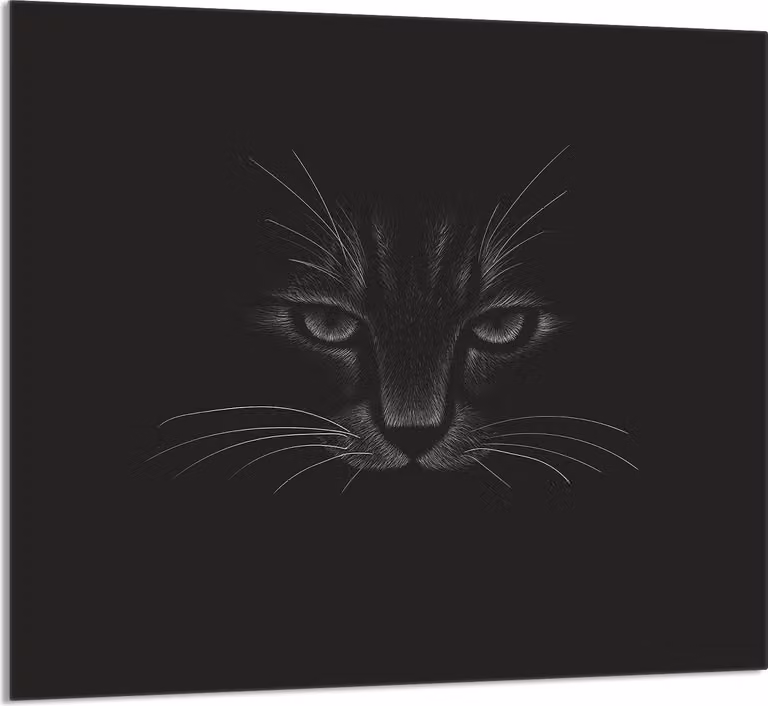 PIATTO IN VETRO PER CUCINA 65x60 Cat