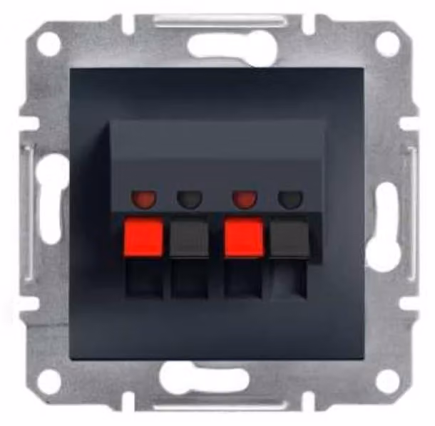 Connessione per altoparlanti a 2 poli senza cornice, antracite Schneider Asfora EPH5700171