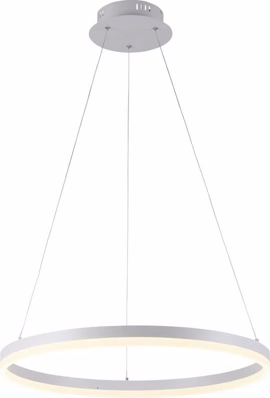 PAUL NEUHAUS TITUS Apparecchio a sospensione LED rotondo da 60 cm, dimmerabile, bianco, 3000K