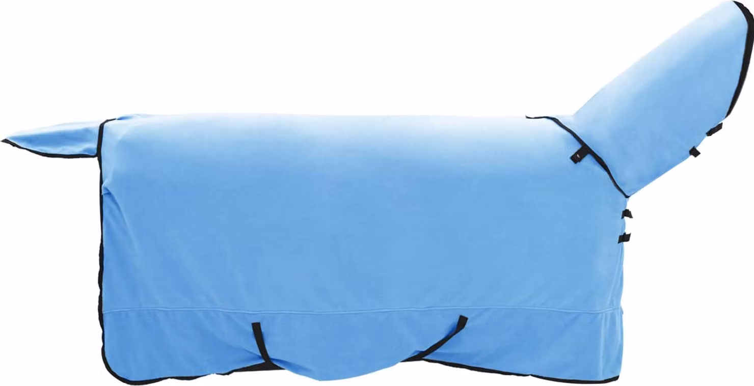 Coperta per Cavalli Aqua Completo 165 cm Poliestere