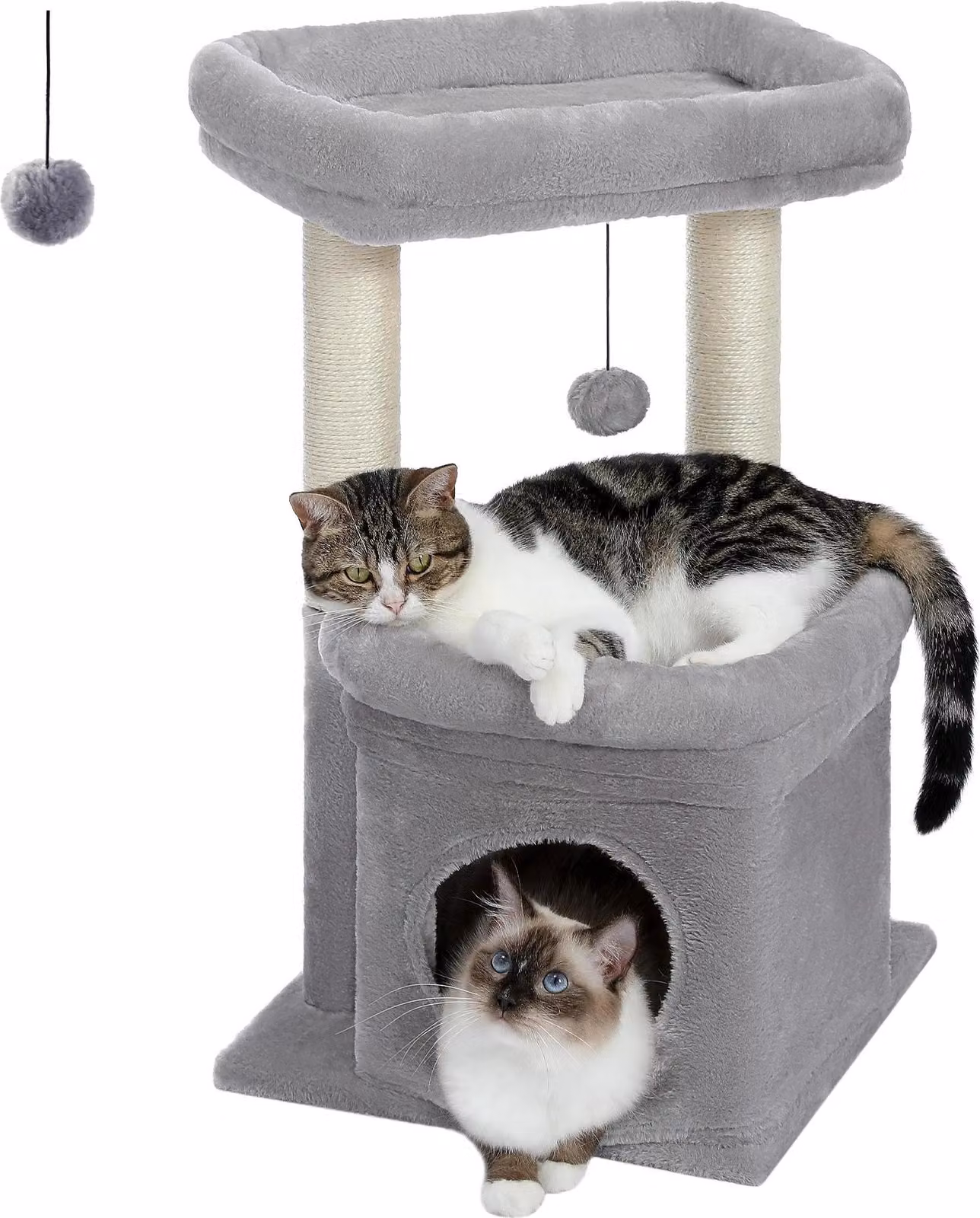 Torre per gatti, appartamenti spaziosi, tiragraffi, AMT0179GY