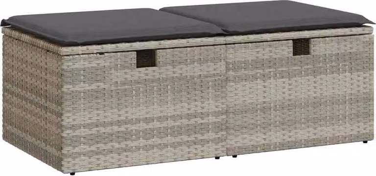 Divano Giardino 2pz con Cuscini Grigio Chiaro Polyrattan Acacia