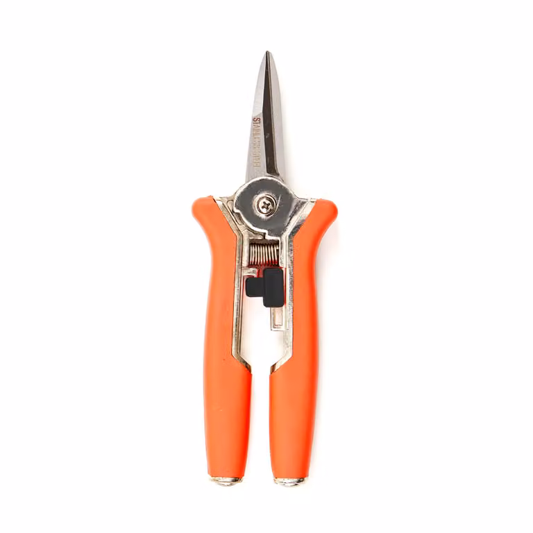 Forbici da giardino in acciaio inossidabile a lama sottile, 16 cm – Forbici per fiori e piante, forbici da giardinaggio, forbici da potatura, forbici per rose