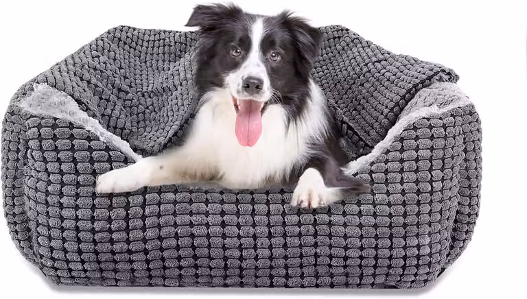 Cuccia per cani, dimensioni 76x61x23 cm, con coperta rimovibile, corda, antiscivolo, ideale come divano per cani