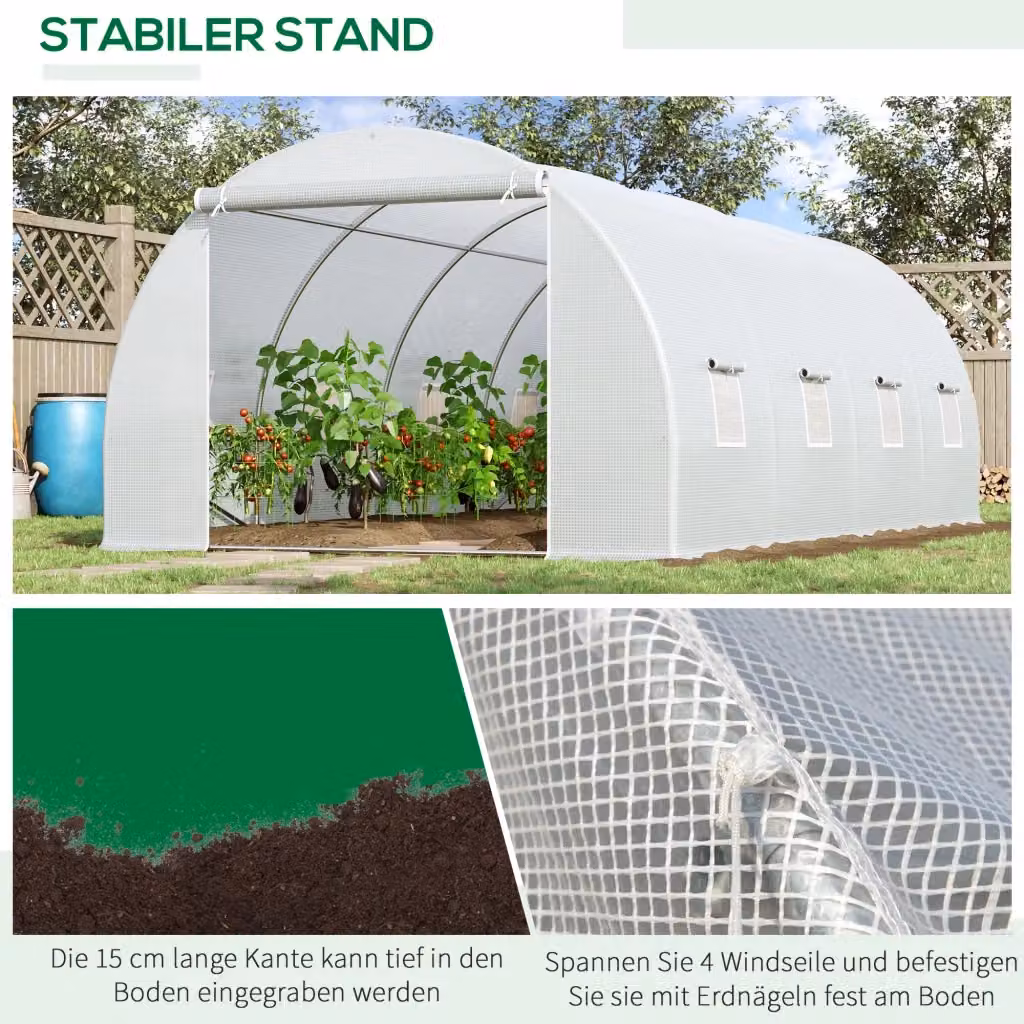 Serra da giardino REDOM bianca con 8 finestre avvolgibili in plastica e metallo L: 595 cm, P: 300 cm, H: 200 cm – 2